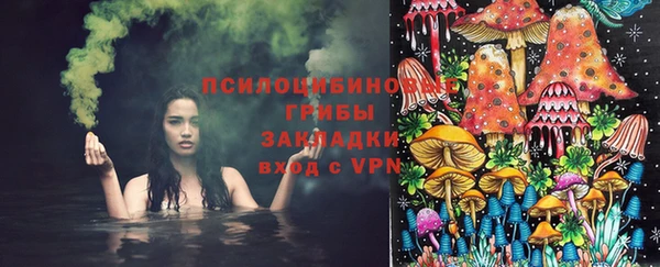 винт Армянск