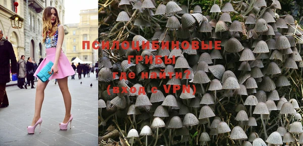 винт Армянск
